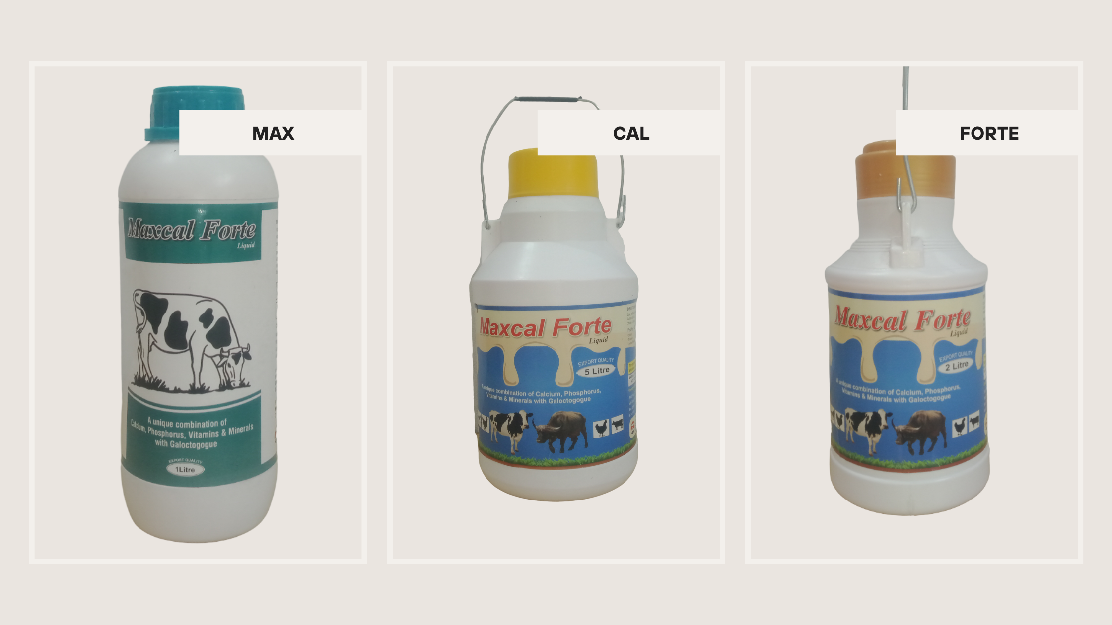 Products