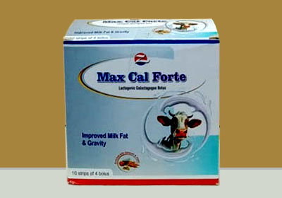 Products