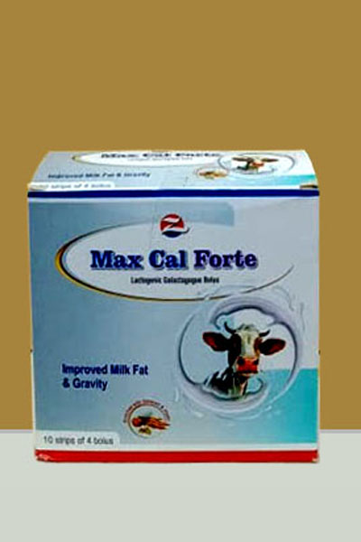 Products