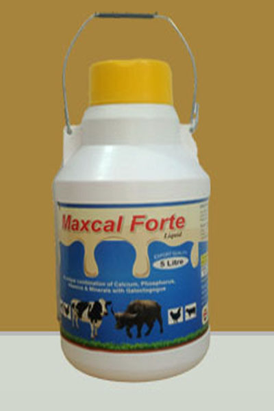 Products