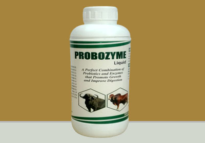 Products