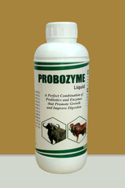 Products